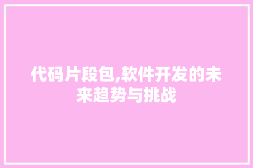 代码片段包,软件开发的未来趋势与挑战