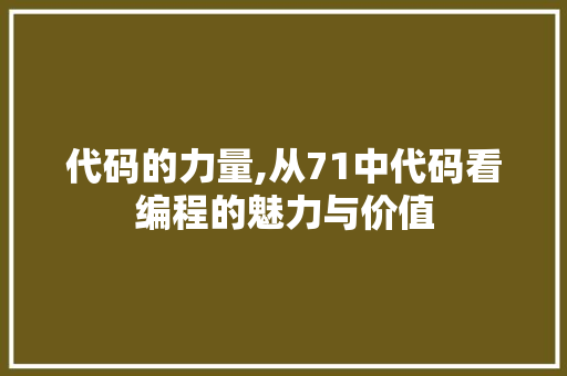 代码的力量,从71中代码看编程的魅力与价值