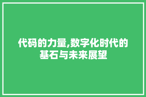 代码的力量,数字化时代的基石与未来展望