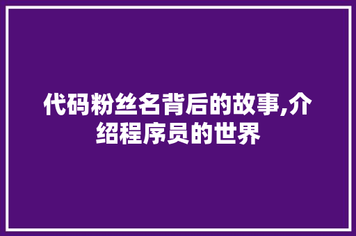 代码粉丝名背后的故事,介绍程序员的世界