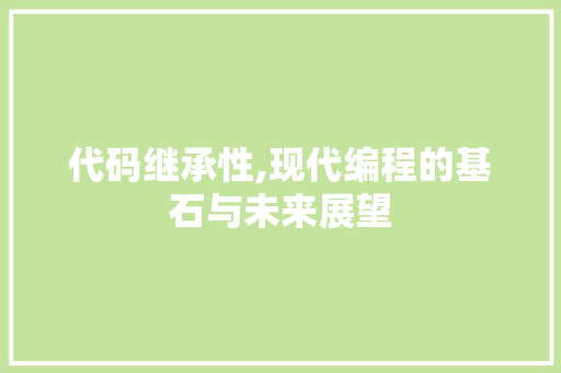 代码继承性,现代编程的基石与未来展望