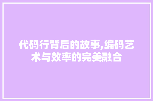 代码行背后的故事,编码艺术与效率的完美融合