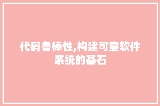 代码鲁棒性,构建可靠软件系统的基石