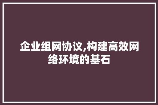 企业组网协议,构建高效网络环境的基石