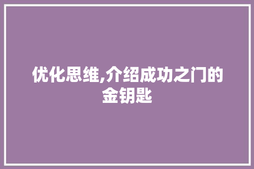 优化思维,介绍成功之门的金钥匙