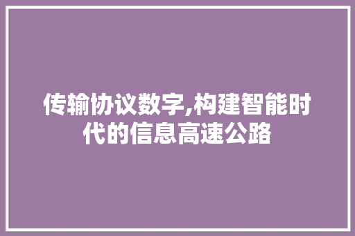 传输协议数字,构建智能时代的信息高速公路