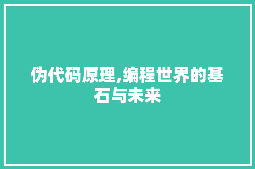 伪代码原理,编程世界的基石与未来