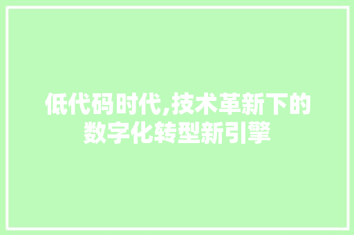 低代码时代,技术革新下的数字化转型新引擎