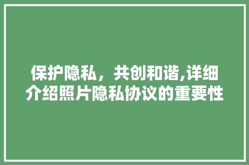 保护隐私，共创和谐,详细介绍照片隐私协议的重要性