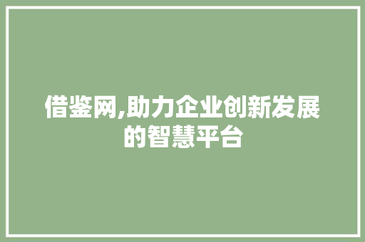 借鉴网,助力企业创新发展的智慧平台