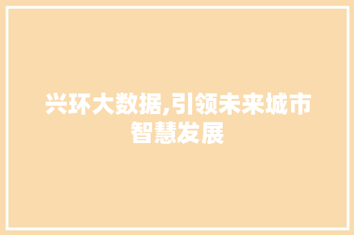 兴环大数据,引领未来城市智慧发展