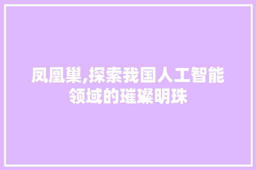 凤凰巢,探索我国人工智能领域的璀璨明珠