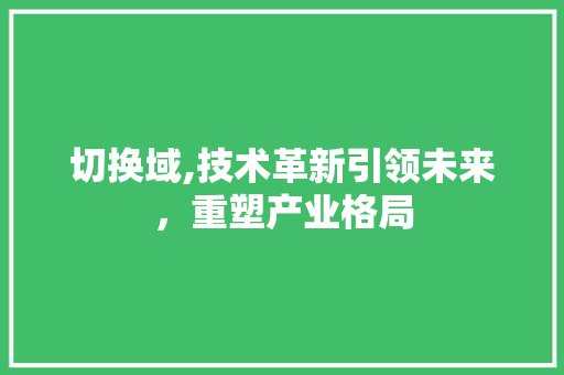 切换域,技术革新引领未来，重塑产业格局