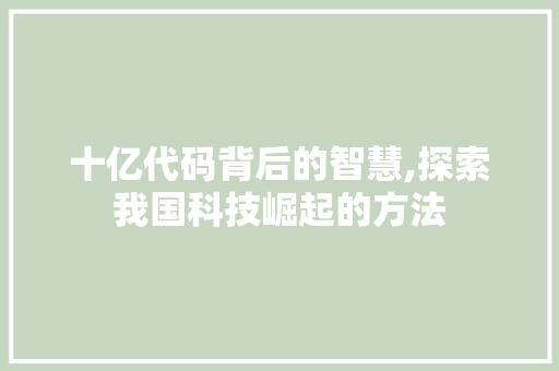 十亿代码背后的智慧,探索我国科技崛起的方法