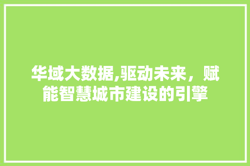 华域大数据,驱动未来，赋能智慧城市建设的引擎