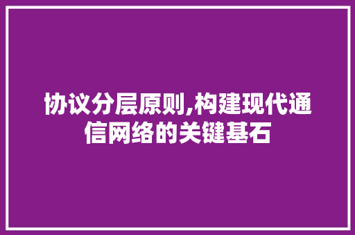 协议分层原则,构建现代通信网络的关键基石