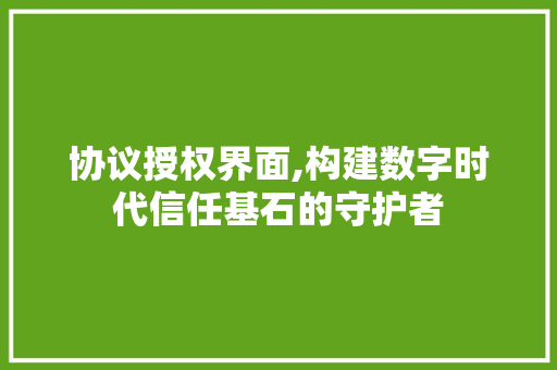 协议授权界面,构建数字时代信任基石的守护者