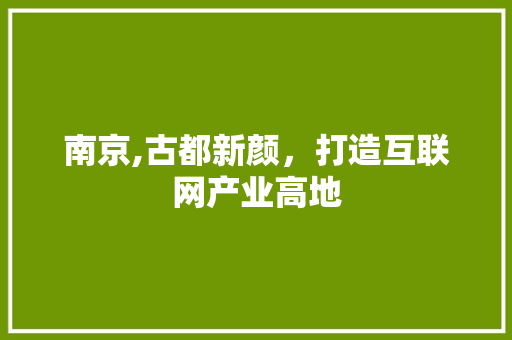 南京,古都新颜，打造互联网产业高地