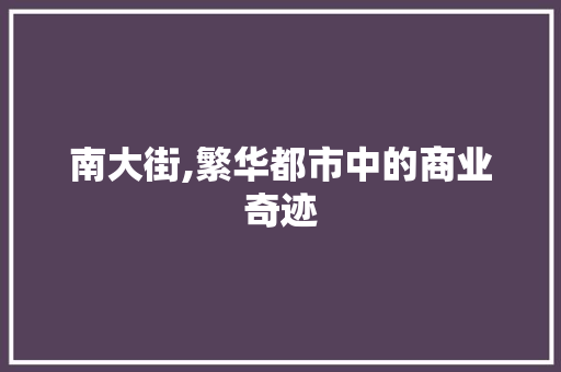 南大街,繁华都市中的商业奇迹