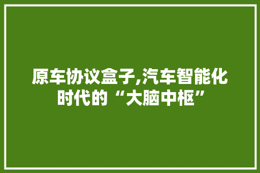 原车协议盒子,汽车智能化时代的“大脑中枢”