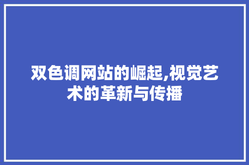 双色调网站的崛起,视觉艺术的革新与传播