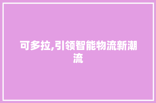 可多拉,引领智能物流新潮流