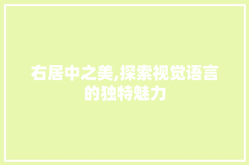 右居中之美,探索视觉语言的独特魅力