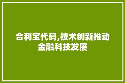 合利宝代码,技术创新推动金融科技发展