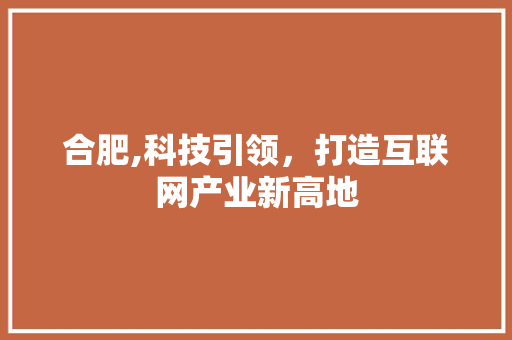 合肥,科技引领，打造互联网产业新高地