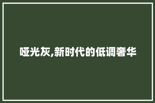 哑光灰,新时代的低调奢华