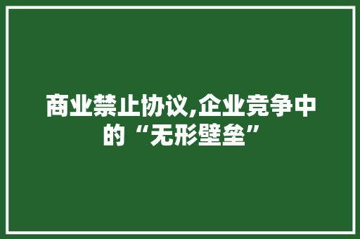 商业禁止协议,企业竞争中的“无形壁垒”