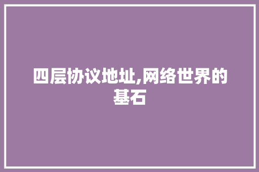 四层协议地址,网络世界的基石