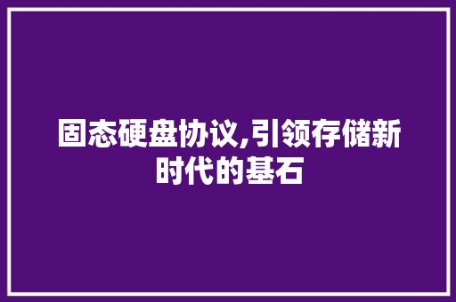 固态硬盘协议,引领存储新时代的基石