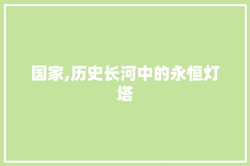 国家,历史长河中的永恒灯塔