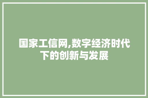 国家工信网,数字经济时代下的创新与发展