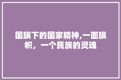 国旗下的国家精神,一面旗帜，一个民族的灵魂