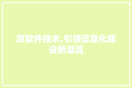 坝软件技术,引领信息化建设新潮流