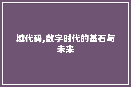 域代码,数字时代的基石与未来