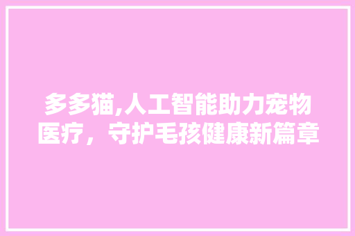 多多猫,人工智能助力宠物医疗，守护毛孩健康新篇章