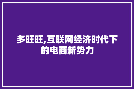 多旺旺,互联网经济时代下的电商新势力