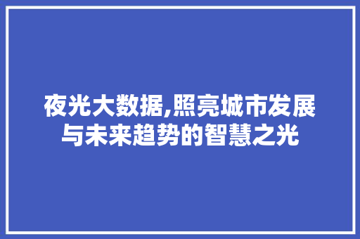 夜光大数据,照亮城市发展与未来趋势的智慧之光