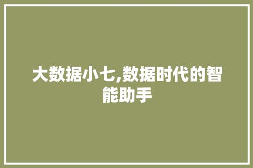 大数据小七,数据时代的智能助手