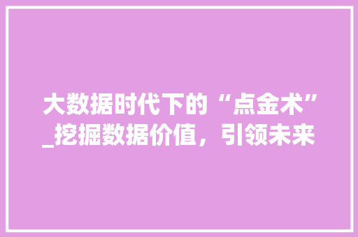 大数据时代下的“点金术”_挖掘数据价值，引领未来商业新风向