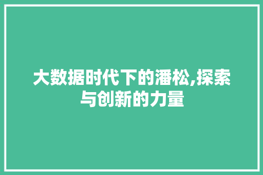 大数据时代下的潘松,探索与创新的力量