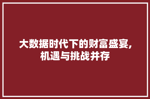 大数据时代下的财富盛宴,机遇与挑战并存