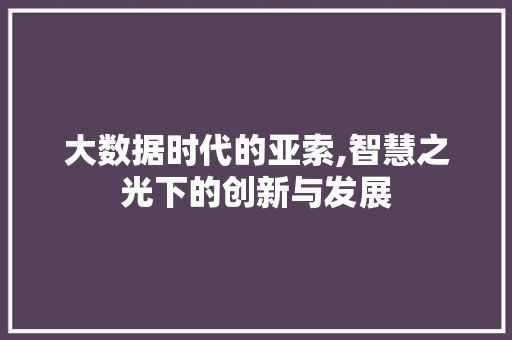 大数据时代的亚索,智慧之光下的创新与发展