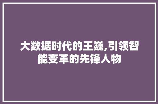 大数据时代的王巍,引领智能变革的先锋人物