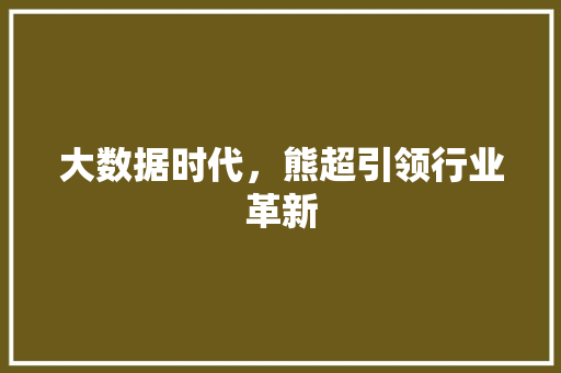 大数据时代，熊超引领行业革新