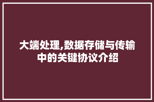 大端处理,数据存储与传输中的关键协议介绍