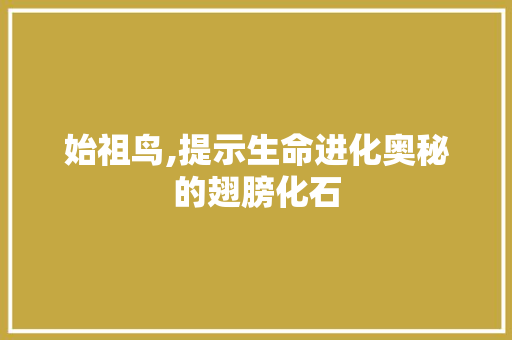 始祖鸟,提示生命进化奥秘的翅膀化石